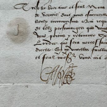 Le duc Charles II de Savoie ordonne de pacifier la cité de Vercelli en Piémont, au début du XVIe siècle